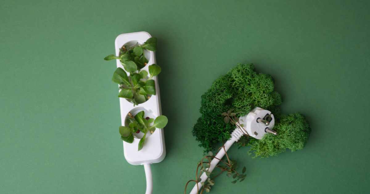 plugs with plants